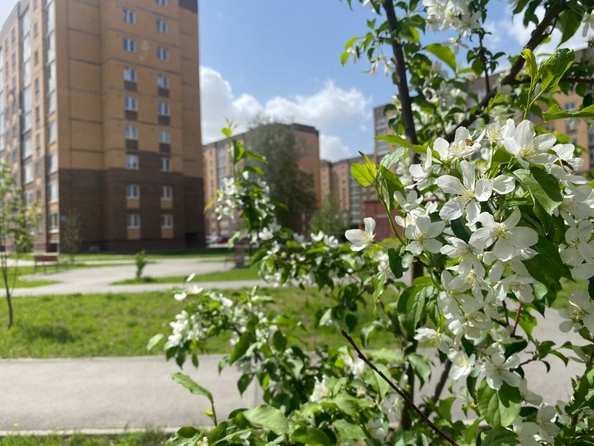 
  Продается 1-комн. квартира 42.44 м², в ЖК Дивногорский, дом 43. Фото 11.