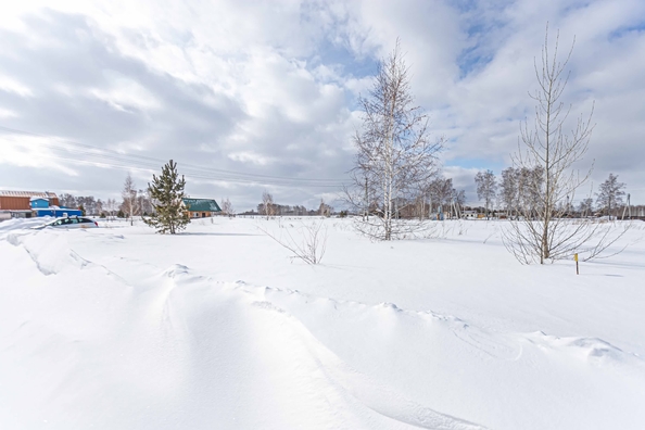 
  Продается земельный участок 7.98 соток. Фото 13.