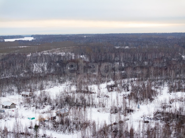 
  Продается земельный участок 6 соток. Фото 4.