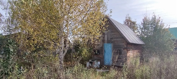 
  Продается земельный участок 6 соток. Фото 8.