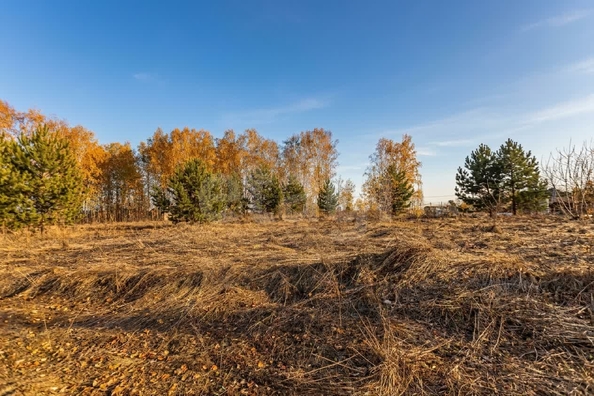 
  Продается земельный участок 9.52 соток. Фото 1.