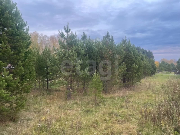 
  Продается земельный участок 9.9 соток. Фото 10.