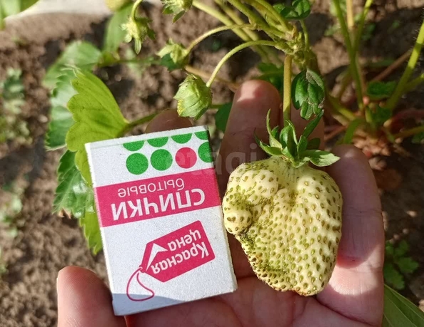 
  Продается дача 52 м². Фото 17.