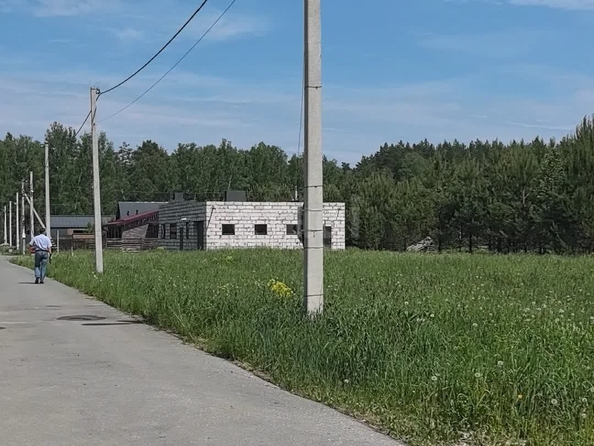 
  Продается земельный участок 10 соток. Фото 2.