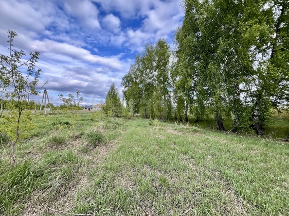 
  Продается земельный участок 71.76 сотка. Фото 16.