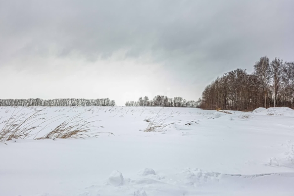 
  Продается земельный участок 7 соток. Фото 4.