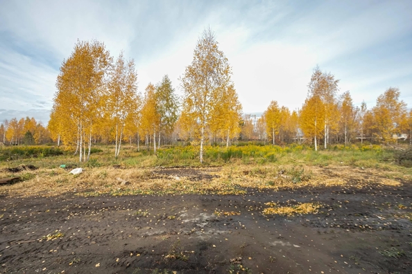 
  Продается дом 71 м². Фото 24.