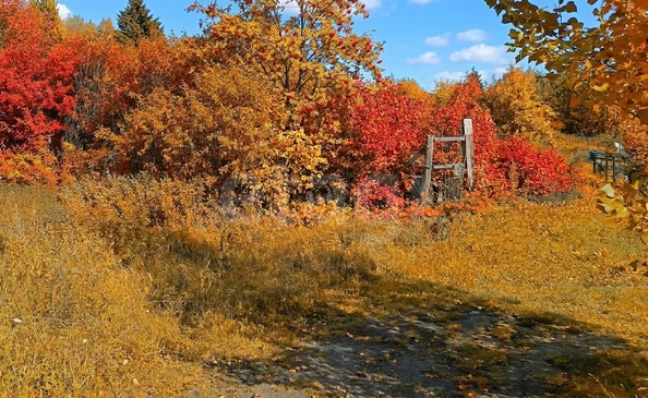 
  Продается земельный участок 6 соток. Фото 2.