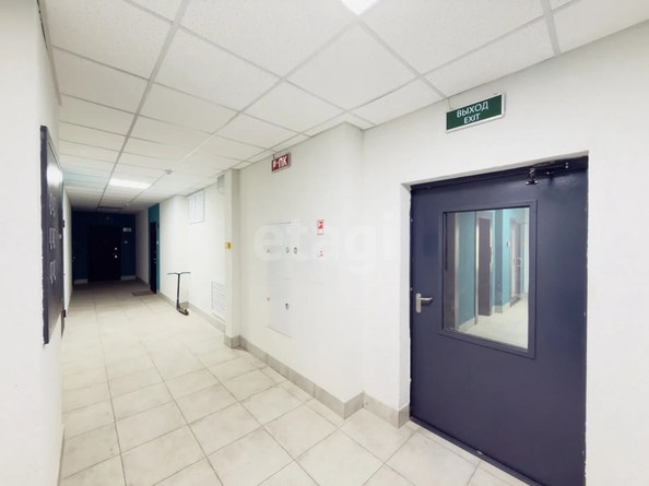 
  Продается студия 31.2 м², в ЖК Новые Матрешки, дом 2 . Фото 6.