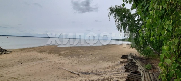 
  Продам  дачный участок, 10 соток, Нижнекаменка

. Фото 5.
