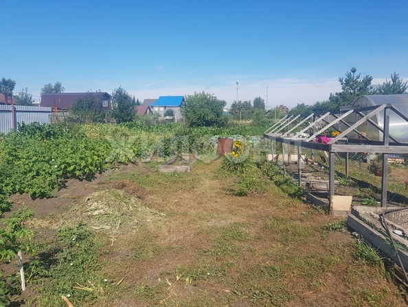 
  Продам  дачный участок, 9.3 соток, Новосибирск

. Фото 9.