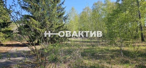 
   Продам помещение свободного назначения, 7600 м², Красная (Боровская радуга тер. СНТ) ул, 2А

. Фото 3.