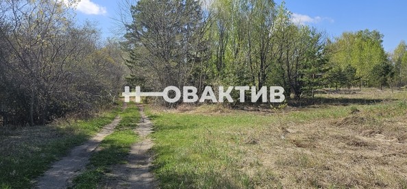 
   Продам помещение свободного назначения, 7600 м², Красная (Боровская радуга тер. СНТ) ул, 2А

. Фото 11.