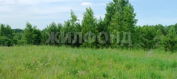 
  Продается земельный участок, 10.52 соток, поселок Воробьевский
. Фото 9.