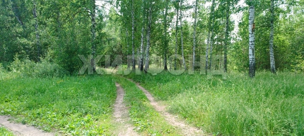 
  Продается земельный участок, 10.52 соток, поселок Воробьевский
. Фото 14.