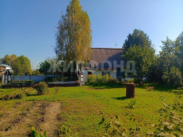 
  Продам дачу, 8 соток, Новосибирск

. Фото 8.