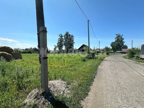 
  Продам  дачный участок, 16 соток, Боровое село

. Фото 5.