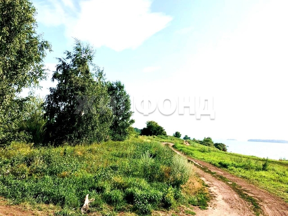 
  Продам  дачный участок, 10.5 соток, Боровое село

. Фото 3.