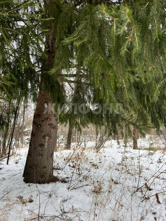 
  Продам  дачный участок, 51.4 соток, Кубовая село

. Фото 25.