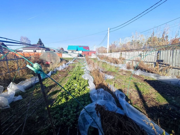 
  Продам  дачный участок, 6.6 соток, Новосибирск

. Фото 15.