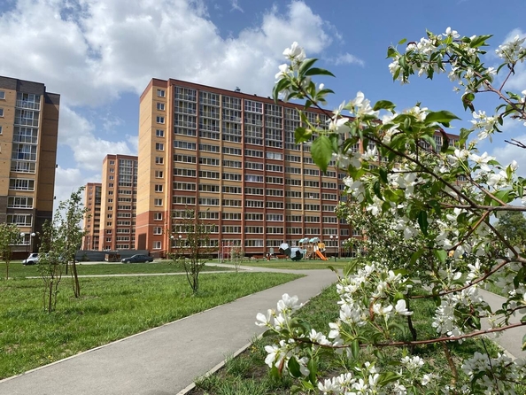 
   Продам студию, 27.45 м², Юности ул, 7

. Фото 5.