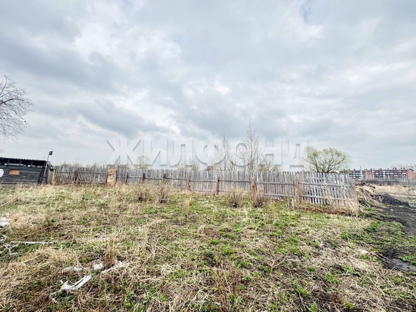 
  Продам  дачный участок, 9.67 соток, Криводановка село

. Фото 3.
