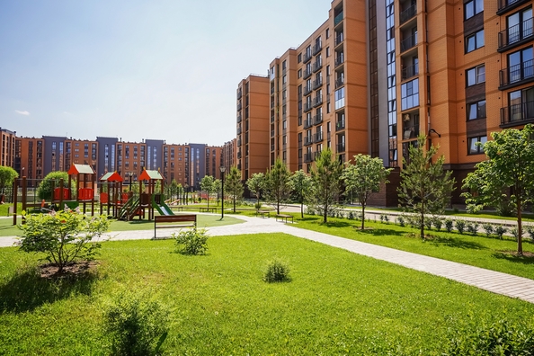 
   Продам 1-комнатную, 41.1 м², Василия Клевцова ул, 3

. Фото 26.