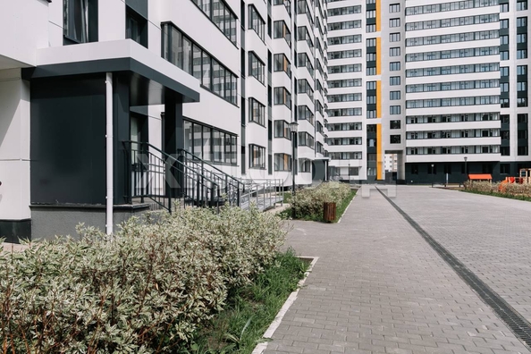 
  Продается студия, 24 м², ЖК Матрешкин двор, дом 1 
. Фото 27.