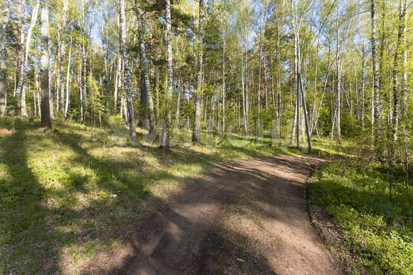 
  Продается дом, 86.7 м², село Кубовая
. Фото 20.