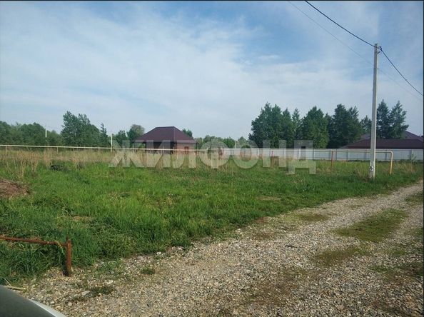 
  Продается земельный участок, 15 соток, деревня Шмаково
. Фото 2.