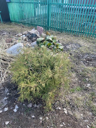 
   Продам дом, 70.9 м², Дружино

. Фото 28.