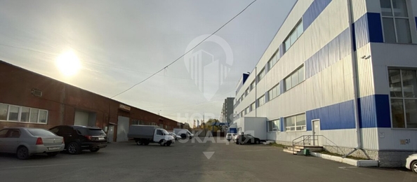 
  Сдается универсальное помещение, 3688 м², Линия 24-я ул, д. 59/2
. Фото 28.