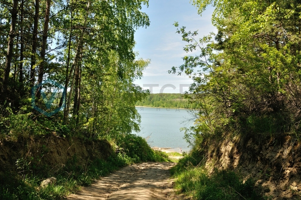 
  Продается земельный участок, 10 соток, село Красная Горка
. Фото 5.