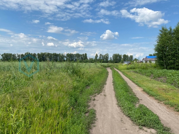 
  Продается земельный участок, 10 соток, микрорайон Омский
. Фото 5.