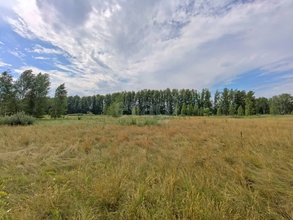 
  Продается земельный участок, 11 соток, село Усть-Заостровка
. Фото 1.