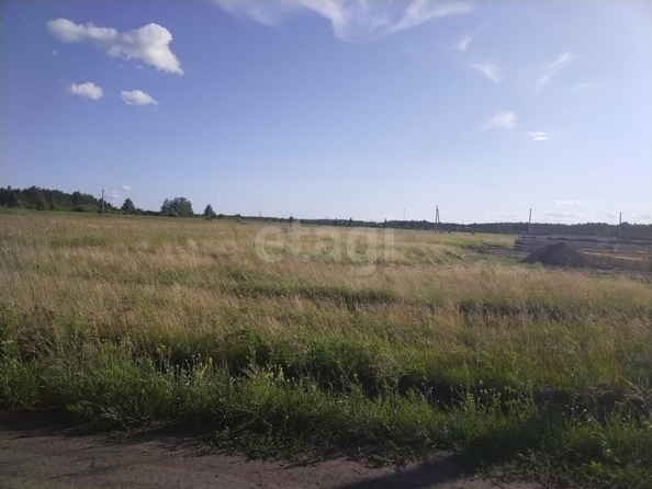 
  Продается земельный участок, 8.08 соток, село Надеждино
. Фото 4.