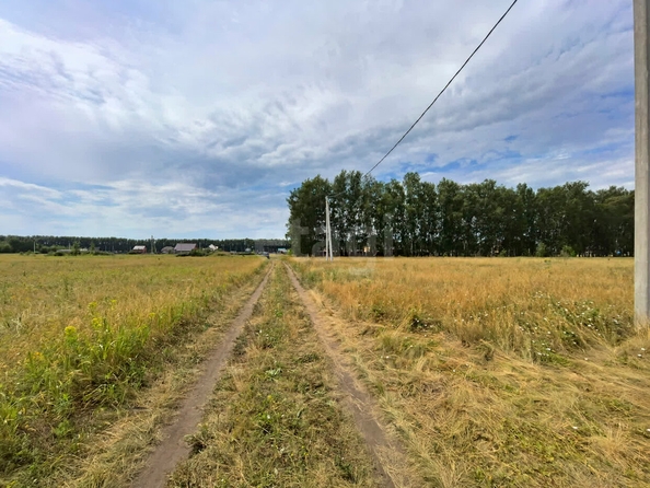 
  Продается земельный участок, 10 соток, село Усть-Заостровка
. Фото 1.