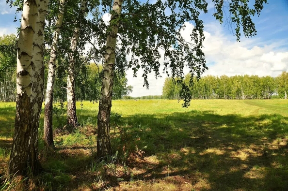 
  Продается земельный участок, 10 соток, село Чернолучье
. Фото 2.