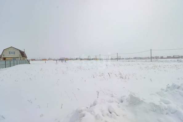 
  Продается земельный участок, 9 соток, село Ребровка
. Фото 5.