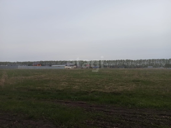 
  Продается земельный участок, 10 соток, село Усть-Заостровка
. Фото 4.