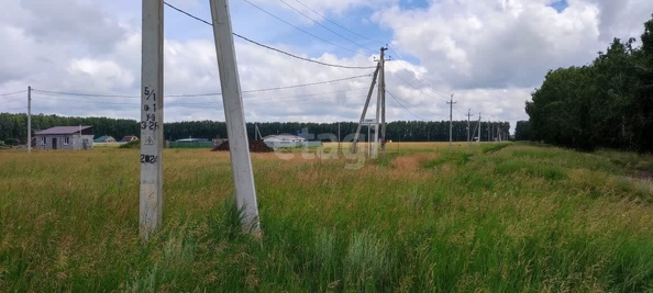 
  Продается земельный участок, 13 соток, село Усть-Заостровка
. Фото 4.