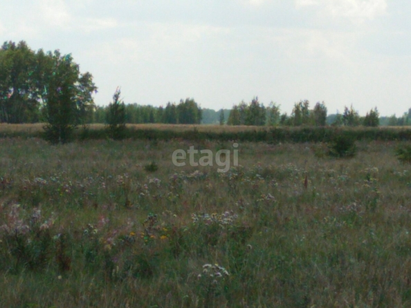 
  Продается земельный участок, 10.9 соток, село Ребровка
. Фото 4.