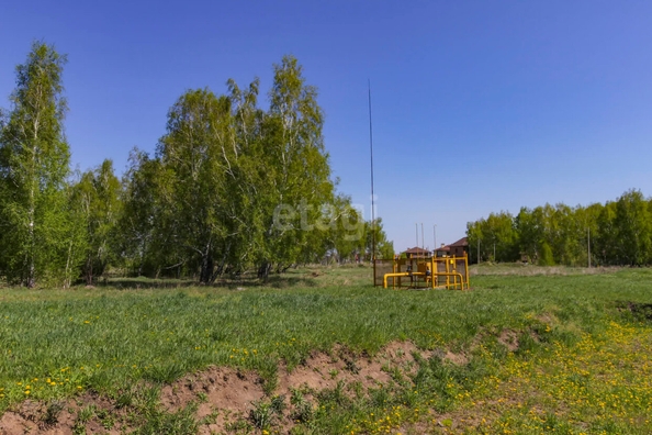 
  Продается земельный участок, 12 соток, Омск
. Фото 2.