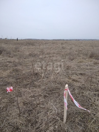 
  Продается земельный участок, 10 соток, село Ребровка
. Фото 3.