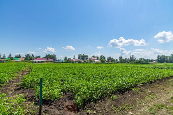 
  Продается земельный участок, 12.4 соток, деревня Пушкино
. Фото 2.