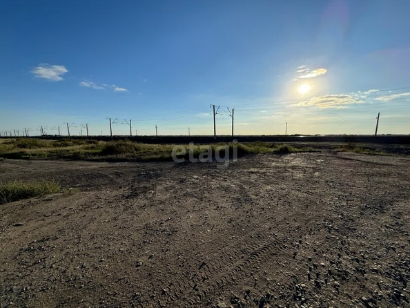 
  Продается земельный участок, 1166 соток, село Троицкое
. Фото 4.