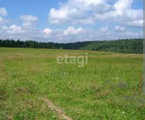
  Продается земельный участок, 12 соток, село Красноярка
. Фото 1.
