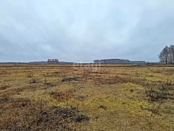 
  Продается земельный участок, 5 соток, село Ульяновка
. Фото 3.