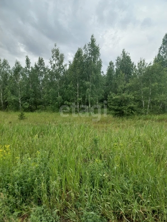 
  Продается земельный участок, 5 соток, село Новотроицкое
. Фото 2.