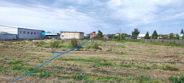 
  Продается земельный участок, 21 сотка, село Азово
. Фото 4.